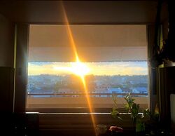 Hillcrest Arcadia (D11), Condominium #532337891